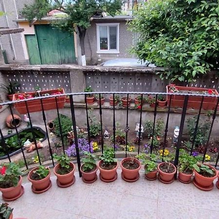Guest House Kukera بافل بانيا المظهر الخارجي الصورة