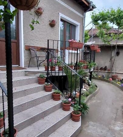 Guest House Kukera بافل بانيا المظهر الخارجي الصورة