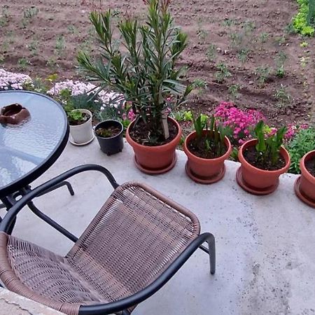Guest House Kukera بافل بانيا المظهر الخارجي الصورة