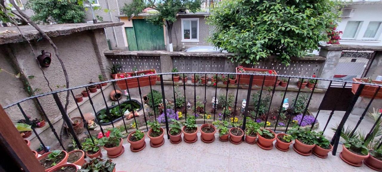 Guest House Kukera بافل بانيا المظهر الخارجي الصورة