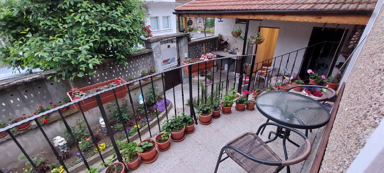 Guest House Kukera بافل بانيا المظهر الخارجي الصورة