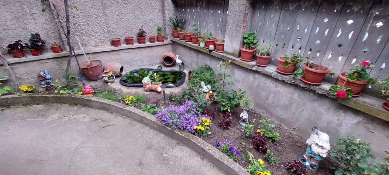 Guest House Kukera بافل بانيا المظهر الخارجي الصورة