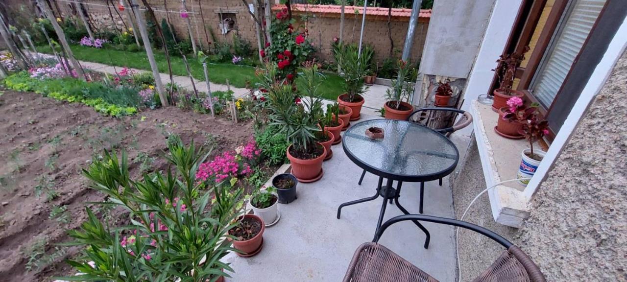 Guest House Kukera بافل بانيا المظهر الخارجي الصورة