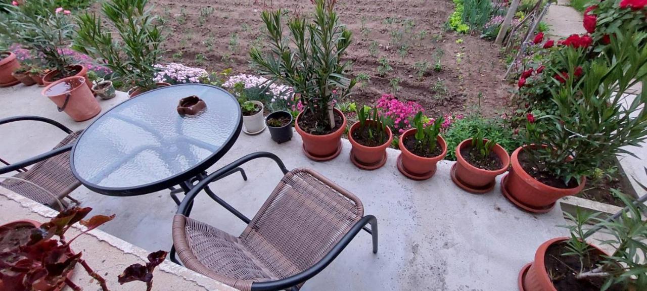 Guest House Kukera بافل بانيا المظهر الخارجي الصورة